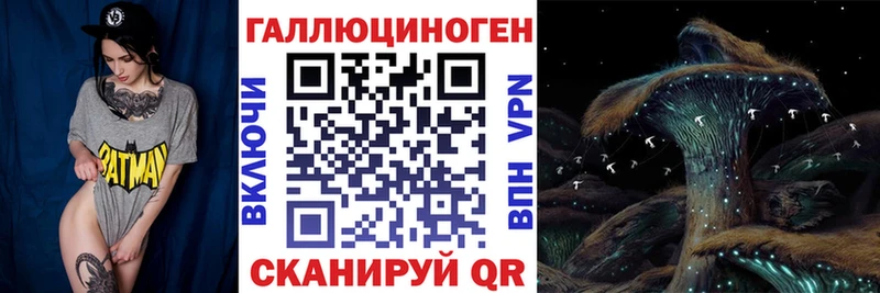 darknet телеграм  Грайворон  Псилоцибиновые грибы MAGIC MUSHROOMS 