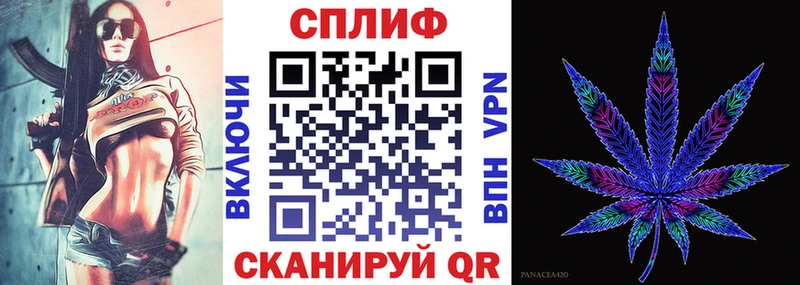 Марихуана сатива  закладка  Грайворон 
